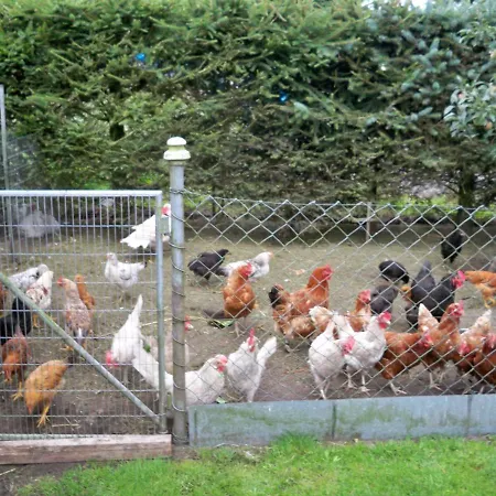 Semesterbostad Haeuschen Im Gruenen *