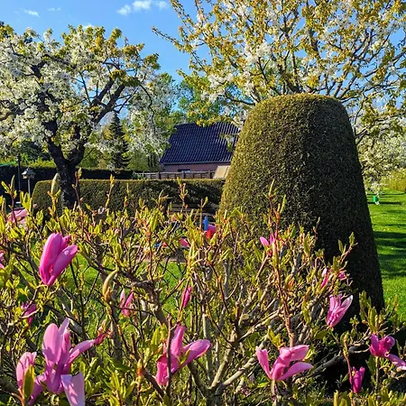 Semesterbostad Haeuschen Im Gruenen Jornstorf