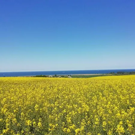 Semesterbostad Haeuschen Im Gruenen *