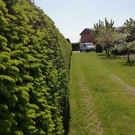 Haeuschen Im Gruenen Tatil Evi